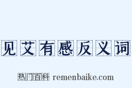 见艾有感反义词是什么意思的图片